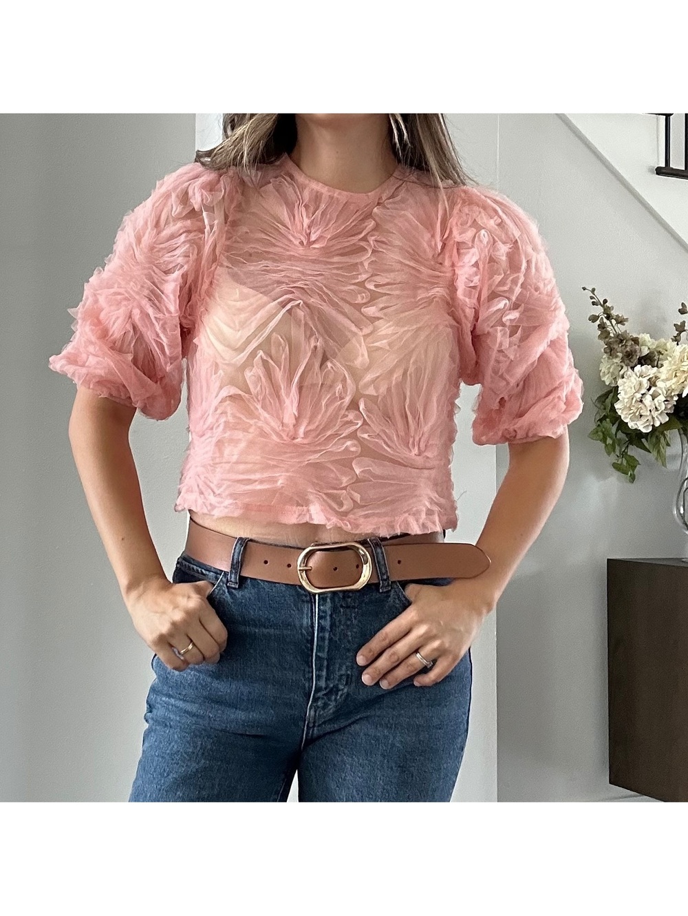 Zara Organza Top Size Small